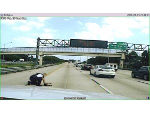 Otoyolda otomobil çarpan köpeği polis kurtardı