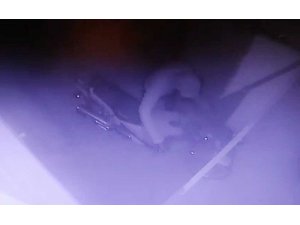 Çaldıkları motosikleti çalıştıramayınca zarar verdiler