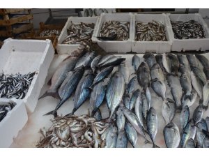 Balıkçılar istedikleri palamut umudunu bulmaya başladı