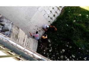 Nehre düşen köpek itfaiyeye zor anlar yaşattı