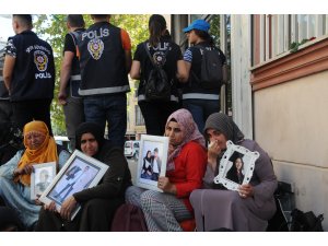 Diyarbakır annelerinin oturma eylemine destek