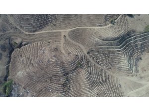 Yanan orman alanına "ay-yıldızlı" proje