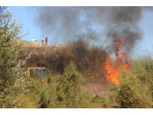 Çan’da linyit döküm sahasında yangın