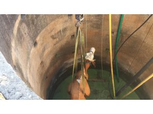 Kuyuya düşen inek vinçle çıkarıldı