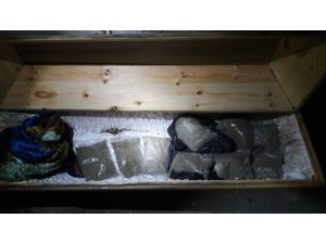 Sakarya’da tabuttan ceset değil, bonzai çıktı