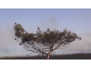 Küresel ısınma ve iklim değişikliği medyanın gündeminde