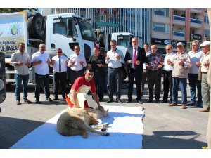 Alaşehir Belediyesi 5 yılda 35 milyon tasarruf sağlayacak