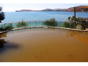 Bodrum’da kabus gecesi; Su borusu bomba gibi patladı araç içine düştü, 5 yıldızlı oteli su bastı, evler çamurla kaplandı, ağaçlar yıkıldı