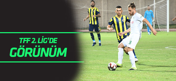 TFF 2. Lig'de görünüm