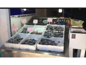 Kastamonu’da hamsinin fiyatı 5 liraya kadar düştü