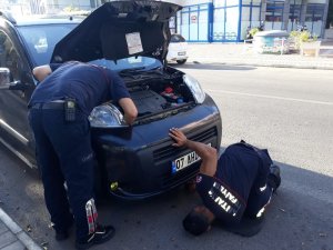 Alanya’da aracın motor kısmına sıkışan yavru kedi kurtarıldı
