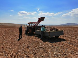 Konya ovasında ekim hazırlığı