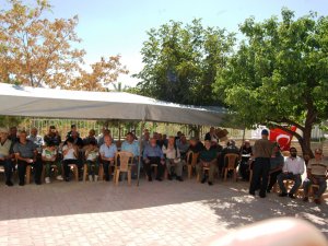 Silleliler hasret giderdi