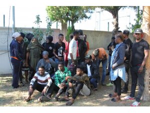 Ayvalık’ta 30 kaçak göçmen yakalandı