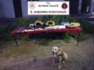 Batman’da uyuşturucu baskınında cephanelik ele geçirildi
