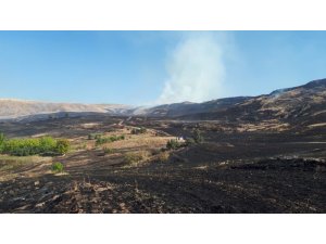 Kırıkkale’de bin dönümlük arazide anız yangını