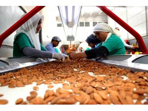 Adıyaman bademi zincir marketlerin raflarında