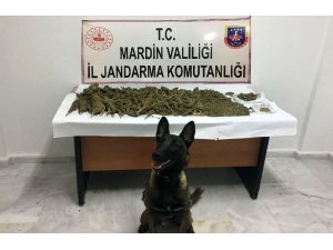 Mardin’de 15 kilo 500 gram esrar ele geçirildi