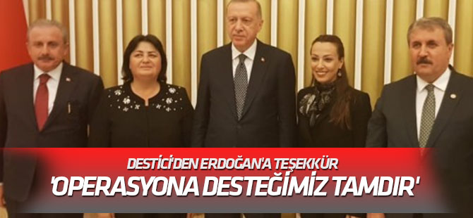 Destici'den Erdoğan'a teşekkür 'Operasyona desteğimiz tamdır'
