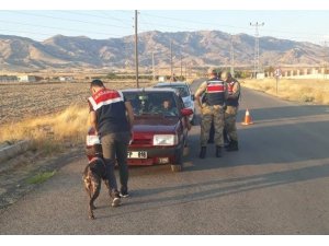 Jandarmadan "Asayiş ve Huzur" uygulaması, 15 aranan şahıs yakalandı