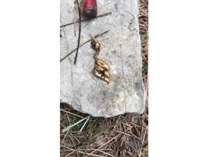 Belden yukarısı bulunmayan kadın cesedinin kimliği eşyalarıyla tespit edilmeye çalışılıyor