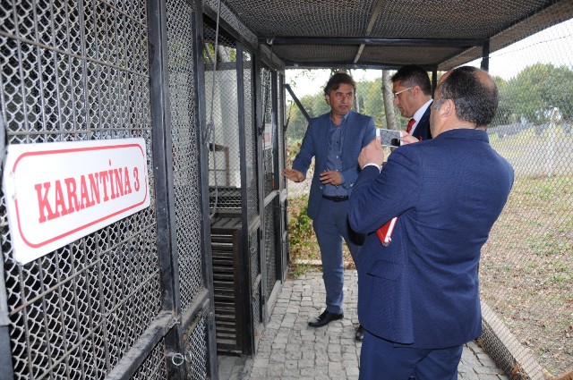 Büyükşehir’den Samsun Hayvan Bakım Merkezinde inceleme