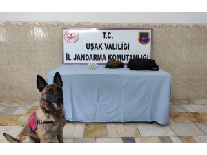 Jandarma otobüste uyuşturucu ele geçirdi