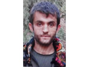 Gri listede aranan terörist etkisiz hale getirildi