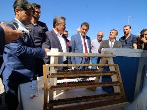 Seydişehir'de arı sütü üretimi