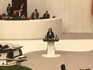 AK Partili Milletvekili Durgut: “Türkçe ne yazık ki yozlaştırıldı"
