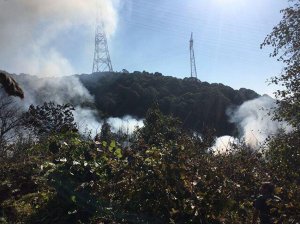 Beykoz Anadolu Kavağı’nda ormanlık alanda yangın