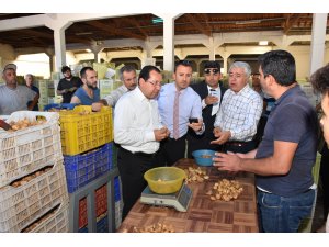 "İncir fiyatlarının aşırı düşmesine mani olacağız"