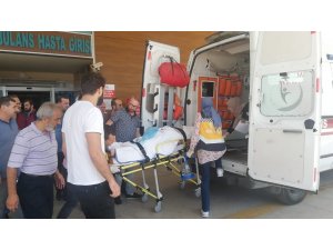 Ceviz ağacından düştü