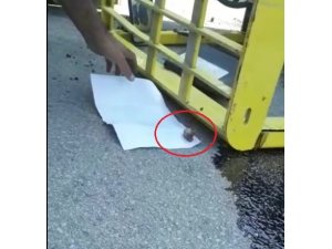 Kopan parmakları yetiştirmek için zamanla yarış