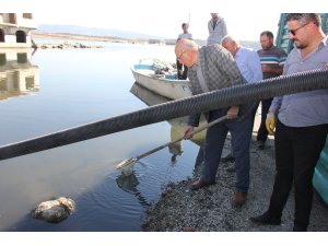 Çekerek Barajı'na 400 bin balık bırakıldı