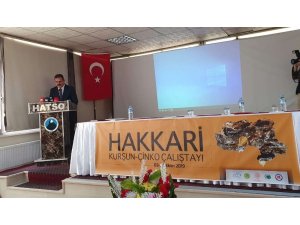 Hakkari’de “Kurşun-Çinko” çalıştayı başladı