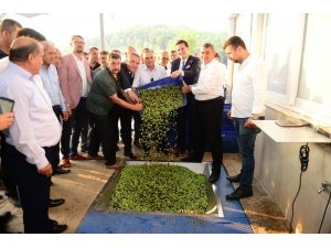 Zeytinyağı fabrikasında sezon açılışı