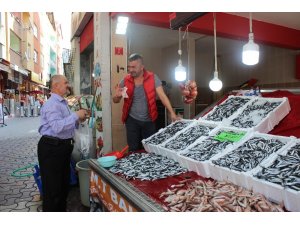 Türkeli’de hamsi bereketi