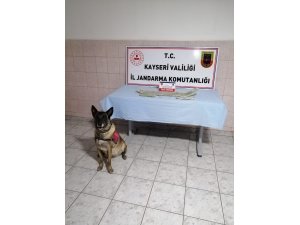 Jandarmadan uyuşturucu operasyonu