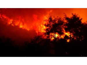 Bursa’daki orman yangınının bilançosu havadan görüntülendi