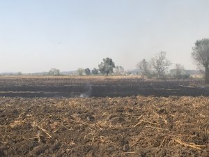 Şehrin üstündeki dumanın anız yangınlarından çıkan duman olduğu belirlendi