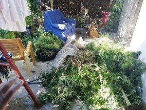 Hatay’da uyuşturucu operasyonu: 1 gözaltı