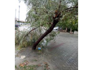 Ağaçlar kırıldı, yollar göle dündü