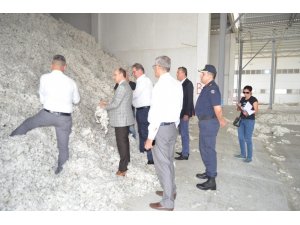 Söke’de pamuğa kalite denetimi