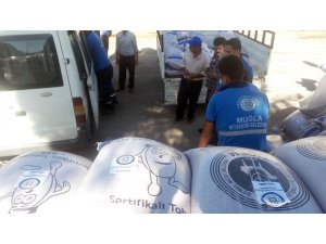 Büyükşehir’den hayvancılığa yem bitkisi desteği