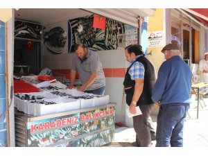 5 liraya kadar düşen hamsi, hem satıcıları hem alıcıları sevindirdi