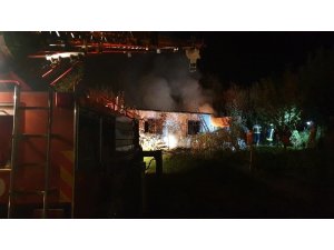 Tosya’da bağevi küle döndü