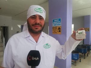 Organik keçi sütü sabunlar, gençliğin ve kadınların gözdesi