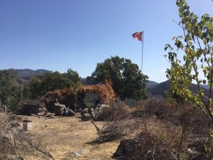 7 aydır aranan şahıs dağda kurduğu barakada yakalandı