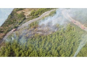 Dörtyol’da orman yangını